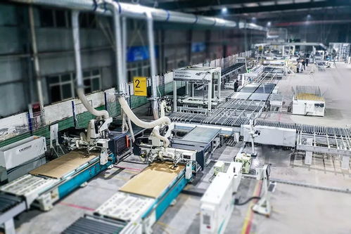 熱烈慶祝四川戀迷爾暨星輝數控工業4.0云工廠投產